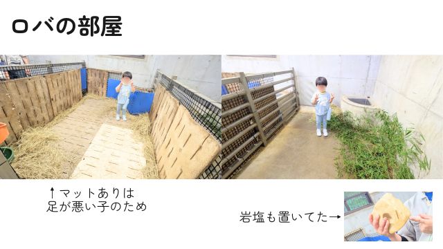 到津の森公園：会員さま限定スペシャルツアー「ロバ編」レポ・ロバの部屋