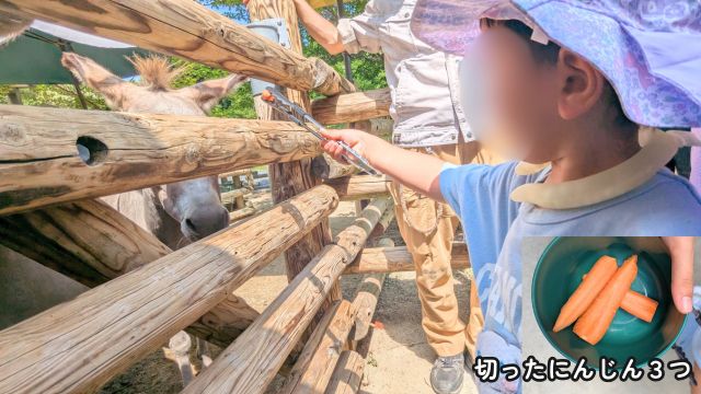 到津の森公園：会員さま限定スペシャルツアー「ロバ編」レポ・ロバえさやり体験