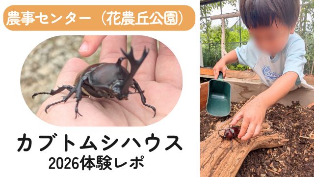 農事センター「カブトムシハウス(2026)」体験レポ